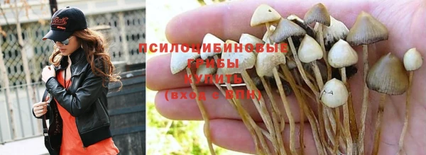 а пвп мука Белокуриха